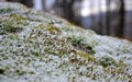 Forest mining of granite stone directly in the forest on solitary boulder. In the past, the easiest way to get a stone. to this da