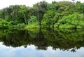 Les zrkadlové v lagúna na amazonka 
