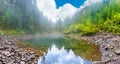 Forest misty blue lake panorama Royalty Free Stock Photo