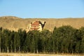 Forest with mogao grottoes Royalty Free Stock Photo