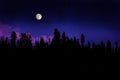 Forest Moonrise Royalty Free Stock Photo