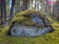 In the forest. Moss covered rock. Possibly a sleeping troll.