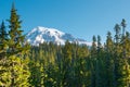 Forest and Mount Rainier at Mount Rainier National Park, USA Royalty Free Stock Photo