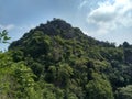 Forest mountain with blue skys