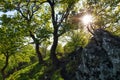 Forest and mountain in Carpathian with sun, Slovakia Royalty Free Stock Photo