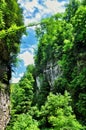 Forest and mountain in Guam gorge of Krasnodar region Royalty Free Stock Photo