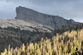Forest Mountain Highlight - Bridger Wilderness