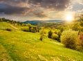 Forest on a mountain hillside in rural area at sunset Royalty Free Stock Photo