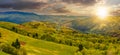 Forest on a mountain hillside in rural area at sunset Royalty Free Stock Photo