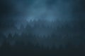 Forest in the mountain at night with dark trees Royalty Free Stock Photo