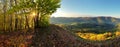 Forest - mountain panoramic view Royalty Free Stock Photo
