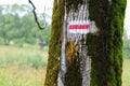 Forest mountain path in with red tourist trail sign on tree. Bieszczady mountains. Poland Royalty Free Stock Photo