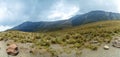 forest, mountain range of volcano nevado de Toluca