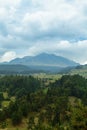 forest, mountain range of volcano nevado de Toluca