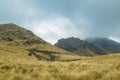 forest, mountain range of volcano nevado de Toluca