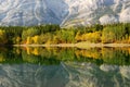 Forest and mountain reflections