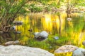 Forest with mountain river. Panoramic exotic  beautiful tropical deep rainforest waterfall  and lake panorama landscape of Chet Royalty Free Stock Photo