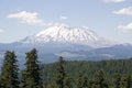 Forest mountain St. Helens volcano