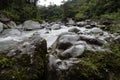 Forest mountain stream in Tapanti National Park. Costa Rica Royalty Free Stock Photo