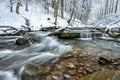 Forest mountain stream in winter. Royalty Free Stock Photo