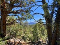 forest mountain view hike trail park landscape travel lake outdoor scenic