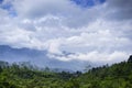 forest and mountains in the daytime with beautiful clouds Royalty Free Stock Photo
