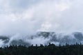 Forest and mountains in fog in cloudy weather. Cloud envelops dense coniferous deciduous forest. Beautiful atmospheric mystical