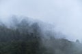 Forest and mountains in fog in cloudy weather. Cloud envelops dense coniferous deciduous forest. Beautiful atmospheric mystical