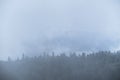 Forest and mountains in fog in cloudy weather. Cloud envelops dense coniferous deciduous forest. Beautiful atmospheric mystical