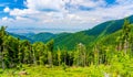 Forest and mountains landscape on the hiking path in Fagaras, Carpathian Mountains, Transylvania, Romania Royalty Free Stock Photo