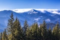 Forest, mountains, sky and fog of Carpathians Royalty Free Stock Photo