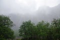 forest mountains waterfall fog and snow in Argentina Royalty Free Stock Photo