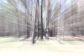 Forest is moving, trees like with action. change zoom on long exposure, lens zoom effect. Shooting landscapes at slow shutter