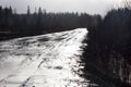 Forest muddy winter road