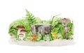 Forest mushroom growing on the ground. Natural forest scene. Watercolor painted illustration. King bolete, chanterelle