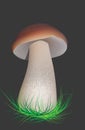 Forest mushroom grows on the grass. Vector illustration. Sketch Royalty Free Stock Photo