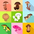 Forest mushroom icons set, flat style