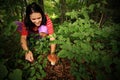 Forest Mushroom Picking