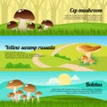 Forest Mushrooms Banners Set Royalty Free Stock Photo