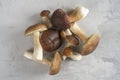 Forest mushrooms Cep mushroom, Boletus, Borovik on a concrete kitchen table.