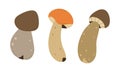 Forest Mushrooms, chanterelles and toadstools. Mushroom in hand drawing style set.