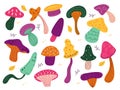 Forest mushrooms. Cute autumn mushroom with natural ornaments, bright colorful funny funguses, fantastic vegetable