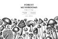 Forest mushrooms hand drawn illustration design. Background with sketch mushrooms, fly agaric, blewit, etc. Royalty Free Stock Photo