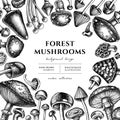 Forest mushrooms hand drawn illustration design. Background with sketch mushrooms, fly agaric, blewit, etc. Royalty Free Stock Photo