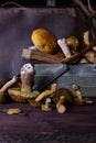 Forest mushrooms lie on the table on a dark background Royalty Free Stock Photo