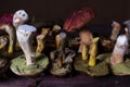 Forest mushrooms lie on the table on a dark background Royalty Free Stock Photo