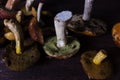 Forest mushrooms lie on the table on a dark background Royalty Free Stock Photo