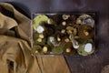 Forest mushrooms lie on the table on a dark background Royalty Free Stock Photo