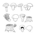 Forest mushrooms set sketch hand drawn doodle. icon, card, poster, vector, monochrome. boletus, fly agaric, chanterelles, russula