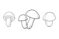 forest mushrooms set sketch hand drawn doodle. icon, card, poster, vector, monochrome. boletus. nature, food, ingredient Royalty Free Stock Photo